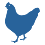Poultry Feed Pellet Die