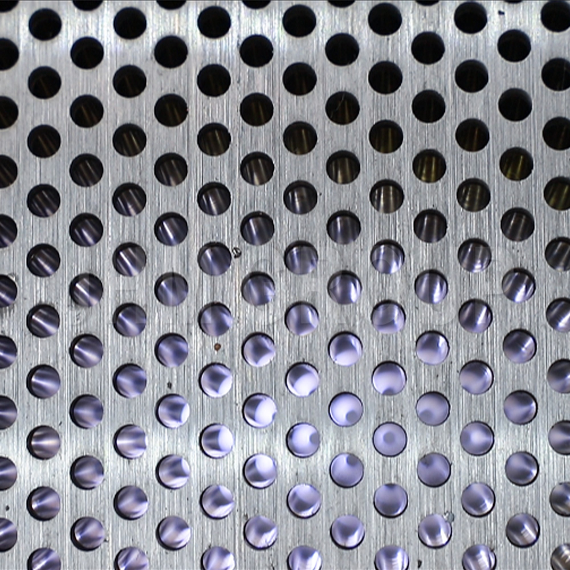 Livestock feed flat die