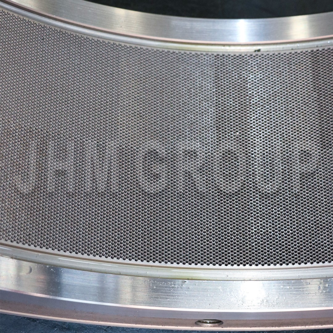 Shrimp feed pellet die